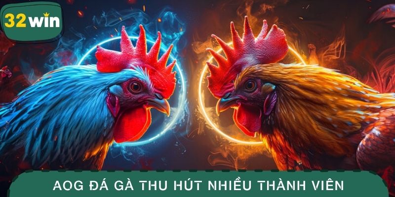 AOG Đá Gà - Trải Nghiệm Sảnh Game Kịch Tính Tại 32WIN 2 Sảnh game AOG đá gà thu hút nhiều thành viên lựa chọn tham gia