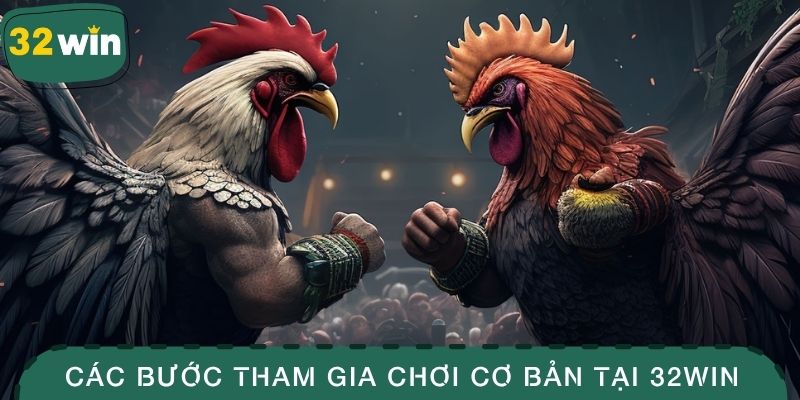 AOG Đá Gà - Trải Nghiệm Sảnh Game Kịch Tính Tại 32WIN 4 Các bước tham gia chơi cơ bản tại 32WIN