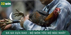 Đá Gà Cựa Dao - Môn Thể Thao Tốc Độ Và Khốc Liệt Bậc Nhất 2 Đá gà cựa dao