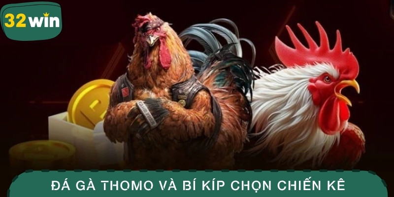 Đá Gà Thomo – Bí Kíp Chọn Được Chiến Kê Chuẩn Xác 1 Đá gà Thomo