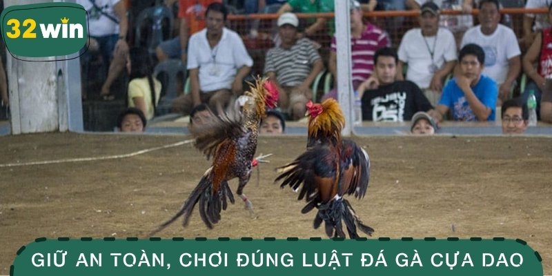 Đá Gà Cựa Dao - Môn Thể Thao Tốc Độ Và Khốc Liệt Bậc Nhất 4 Giữ an toàn, chơi đúng luật đá gà cựa dao