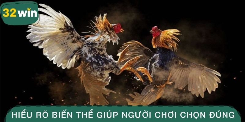 Đá Gà Cựa Dao - Môn Thể Thao Tốc Độ Và Khốc Liệt Bậc Nhất 3 Hiểu rõ biến thể giúp người chơi chọn đúng