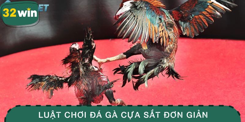 Đá Gà Cựa Sắt -Tìm Hiểu Bộ Môn Chọi Gà Kịch Tính Bậc Nhất 2 Luật chơi đá gà cựa sắt đơn giản