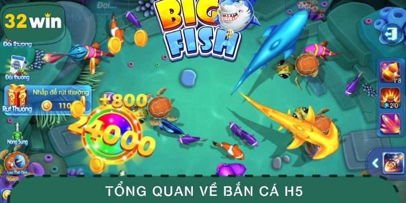 Bắn Cá H5 - Trải Nghiệm Giải Trí Dưới Đại Dương Đỉnh Cao 2 Tổng quan về bắn cá H5